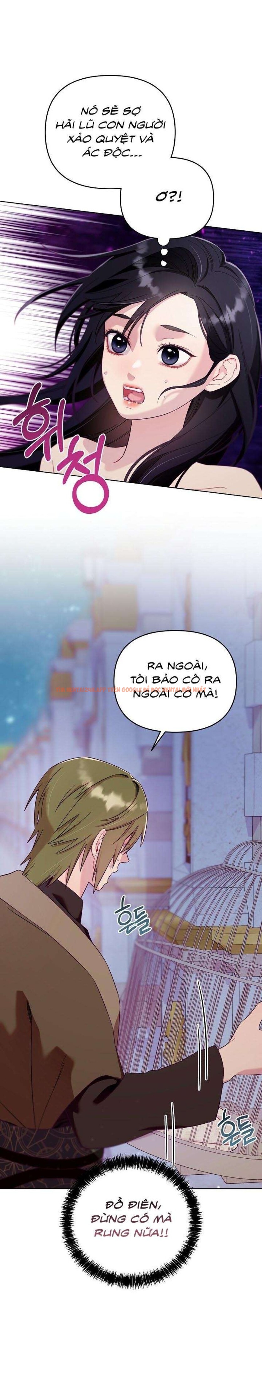 Xem ảnh [18+] Lồng Chim Của Người Sưu Tầm - Chapter 2 - 9 0 - Truyenhentaiz.net