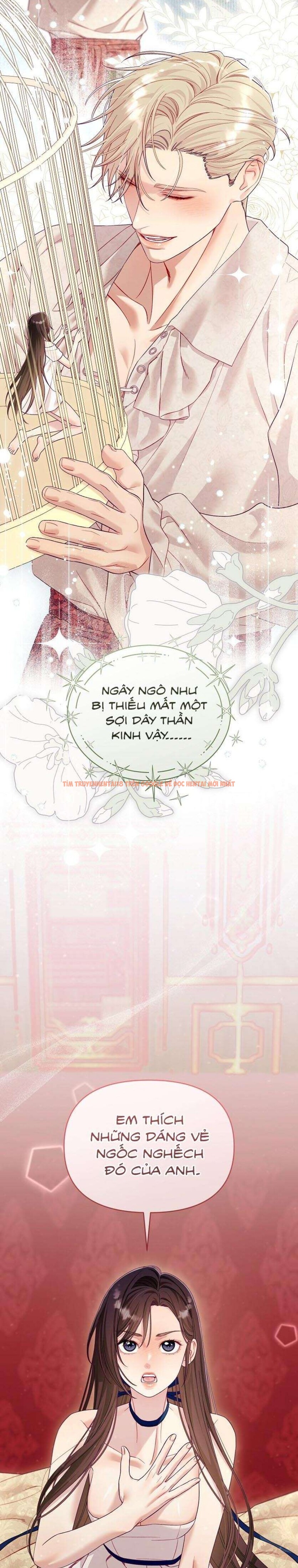 Xem ảnh [18+] Lồng Chim Của Người Sưu Tầm - Chapter 21 - 2 2 - Truyenhentaiz.net