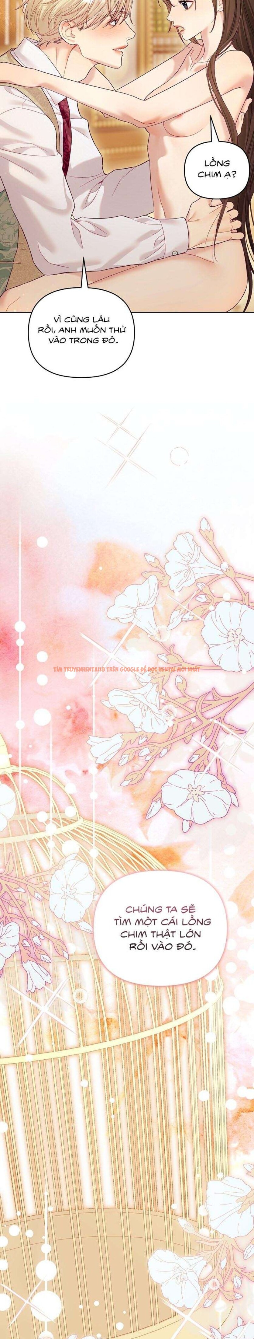 Xem ảnh [18+] Lồng Chim Của Người Sưu Tầm - Chapter 24 - 6 2 - Truyenhentaiz.net