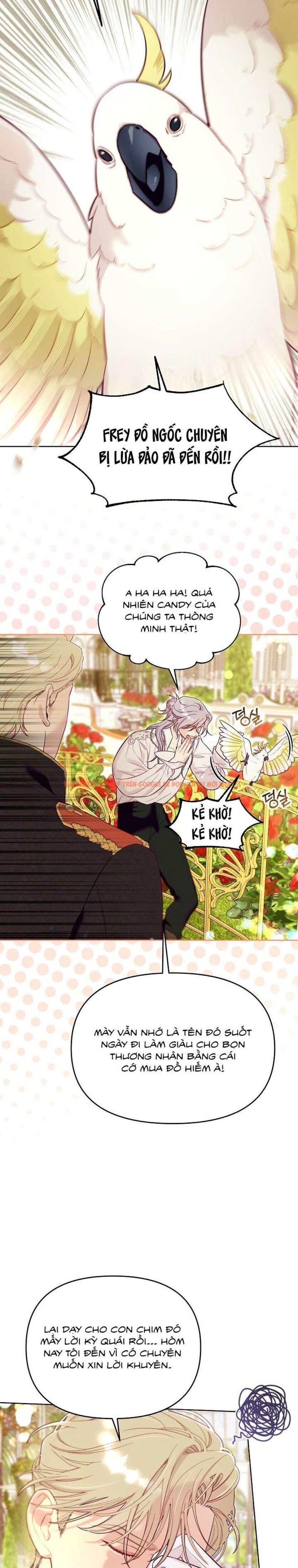 Xem ảnh 1 3 trong truyện hentai [18+] Lồng Chim Của Người Sưu Tầm - Chapter 3 - hentaitvn.net