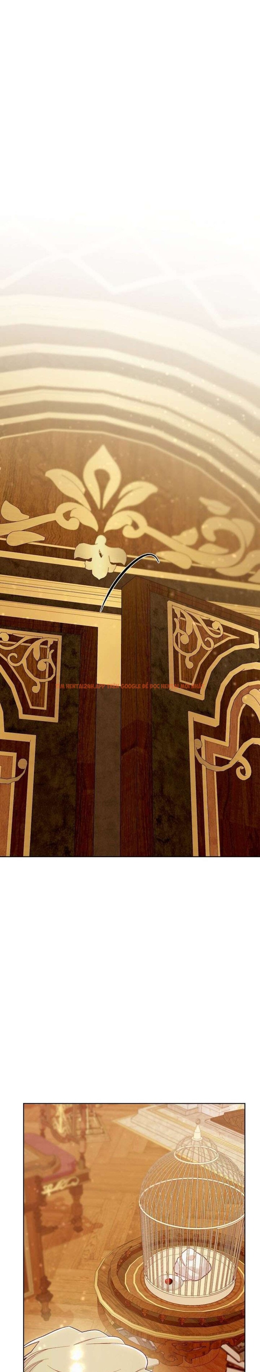 Xem ảnh 5 1 trong truyện hentai [18+] Lồng Chim Của Người Sưu Tầm - Chapter 3 - hentaitvn.net