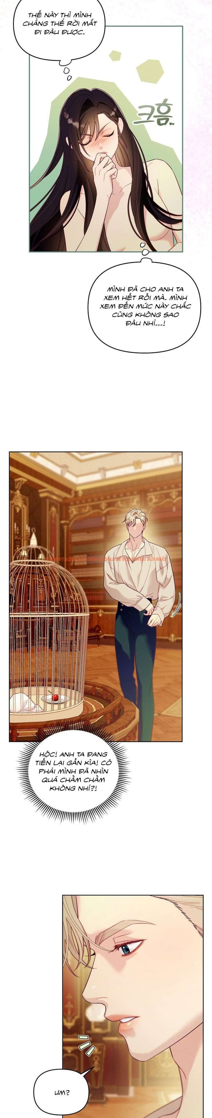 Xem ảnh 6 2 trong truyện hentai [18+] Lồng Chim Của Người Sưu Tầm - Chapter 3 - hentaitvn.net