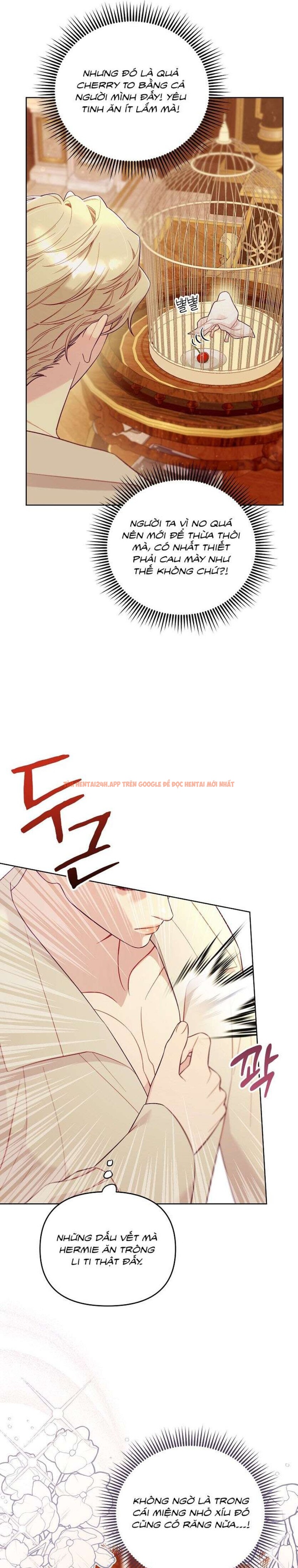 Xem ảnh 7 0 trong truyện hentai [18+] Lồng Chim Của Người Sưu Tầm - Chapter 3 - hentaitvn.net
