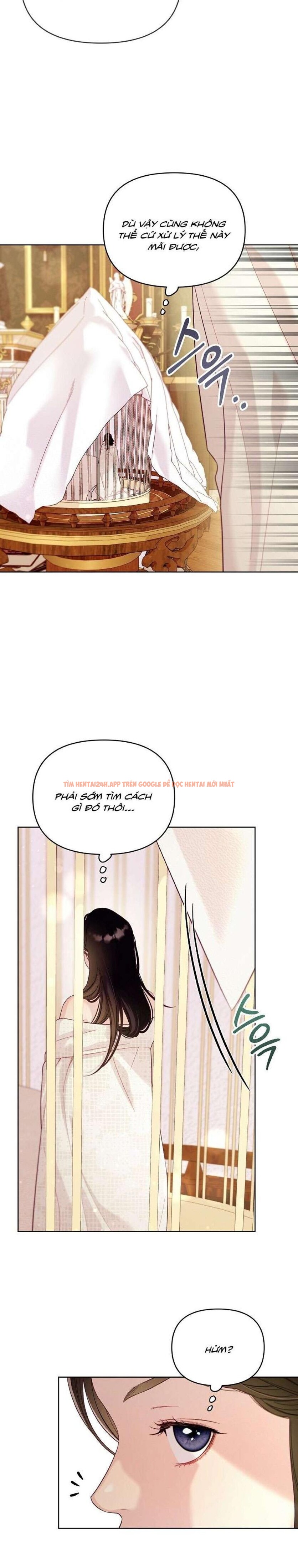 Xem ảnh [18+] Lồng Chim Của Người Sưu Tầm - Chapter 4 - 1 5 - Truyenhentaiz.net