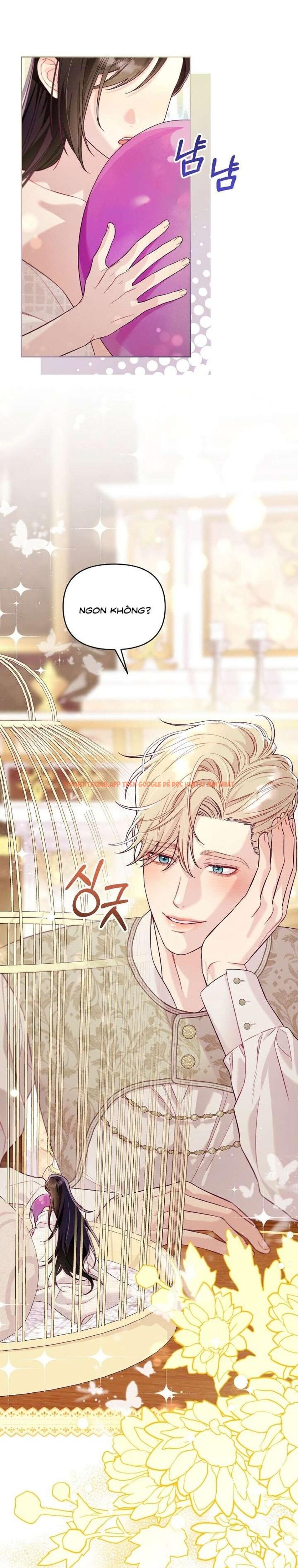 Xem ảnh [18+] Lồng Chim Của Người Sưu Tầm - Chapter 5 - 1 0 - Truyenhentaiz.net