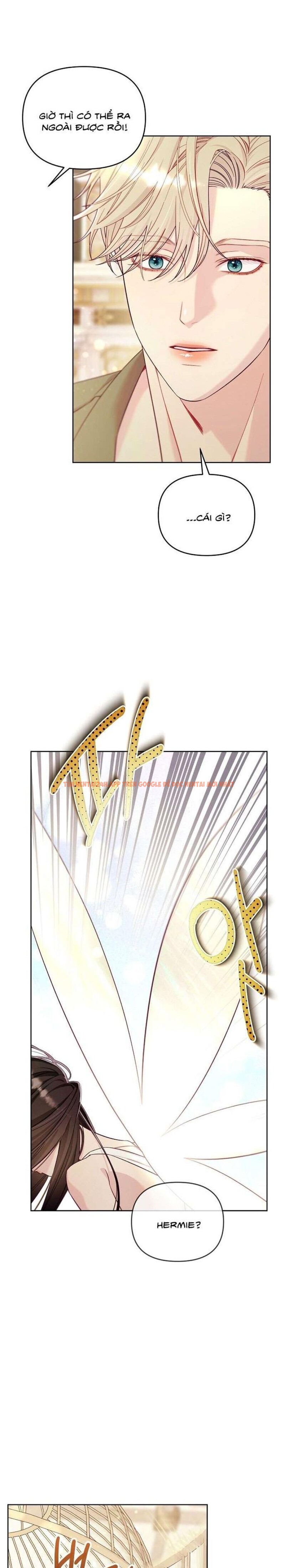 Xem ảnh [18+] Lồng Chim Của Người Sưu Tầm - Chapter 6 - 1 1 - TruyenVN.APP