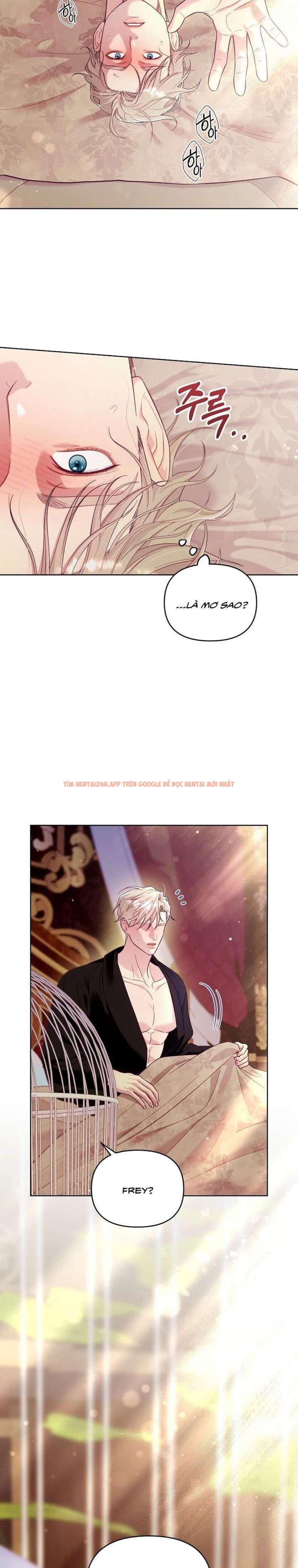 Xem ảnh [18+] Lồng Chim Của Người Sưu Tầm - Chapter 6 - 1 4 - TruyenVN.APP