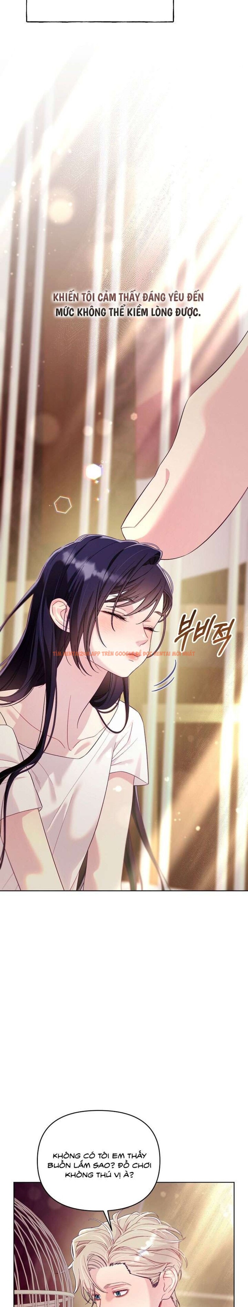 Xem ảnh [18+] Lồng Chim Của Người Sưu Tầm - Chapter 6 - 2 2 - TruyenVN.APP