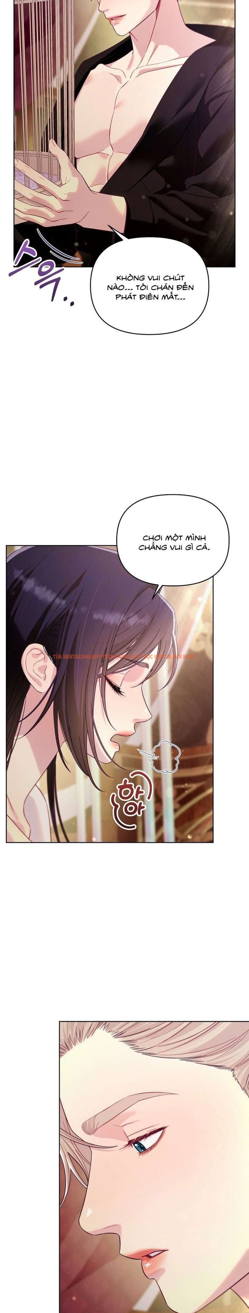 Xem ảnh [18+] Lồng Chim Của Người Sưu Tầm - Chapter 6 - 2 3 - TruyenVN.APP