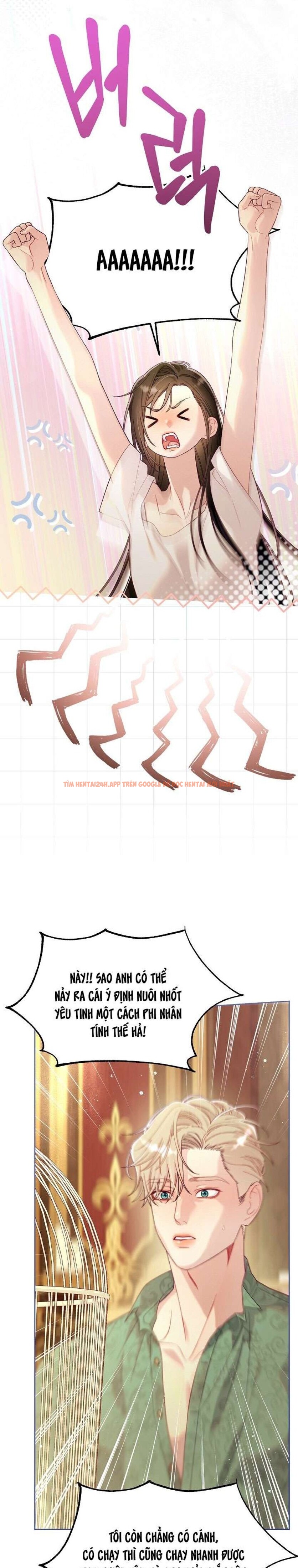 Xem ảnh [18+] Lồng Chim Của Người Sưu Tầm - Chapter 6 - 4 1 - TruyenVN.APP