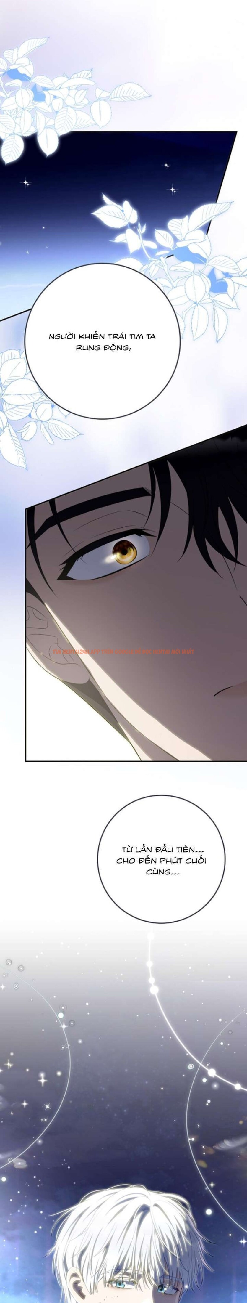 Xem ảnh [18+] Mỗi Đêm Của Công Chúa Nô Lệ - Chapter 14 - 14 1 - Truyenhentaiz.net