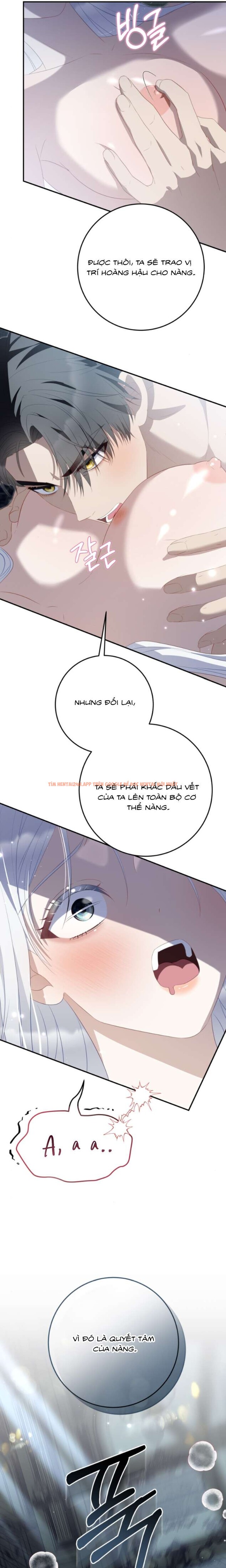 Xem ảnh [18+] Mỗi Đêm Của Công Chúa Nô Lệ - Chapter 20 - 5 0 - Truyenhentaiz.net