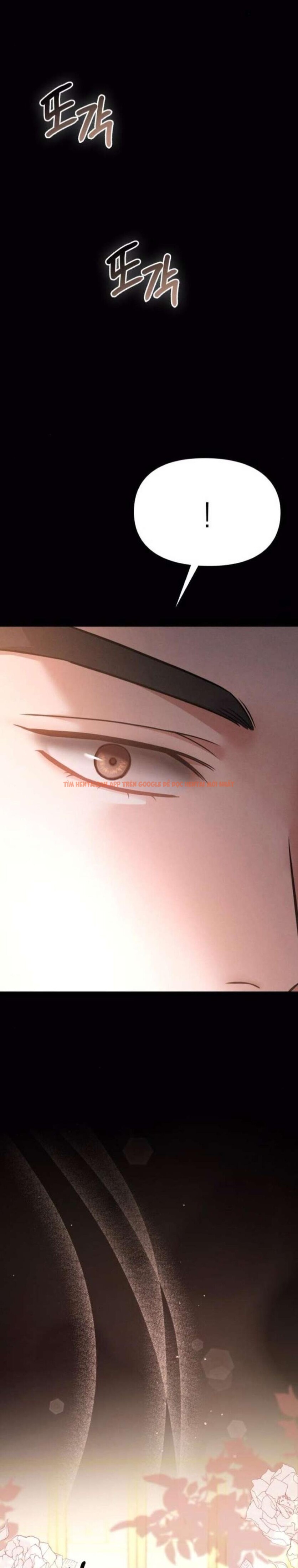 Xem ảnh 1 5 trong truyện hentai [18+] Người Bạn Ban Đêm - Chapter 14 - www.hentaitvn.net