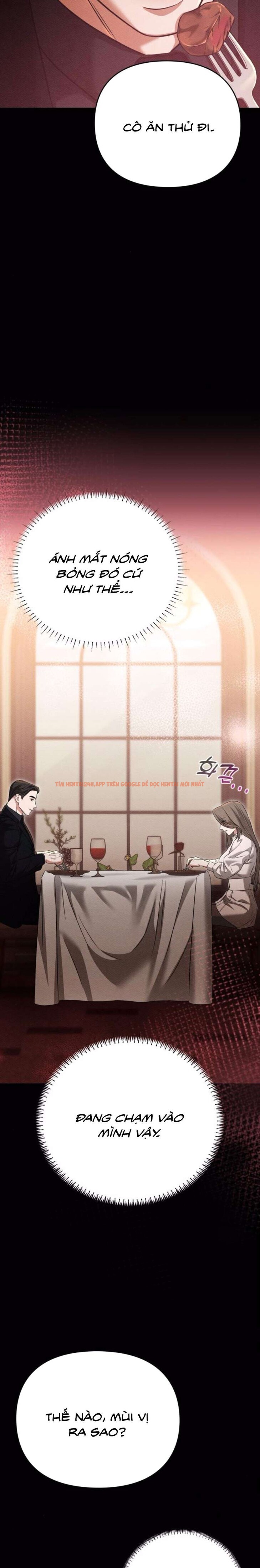 Xem ảnh 1 5 trong truyện hentai [18+] Người Bạn Ban Đêm - Chapter 5 - www.hentaitvn.net