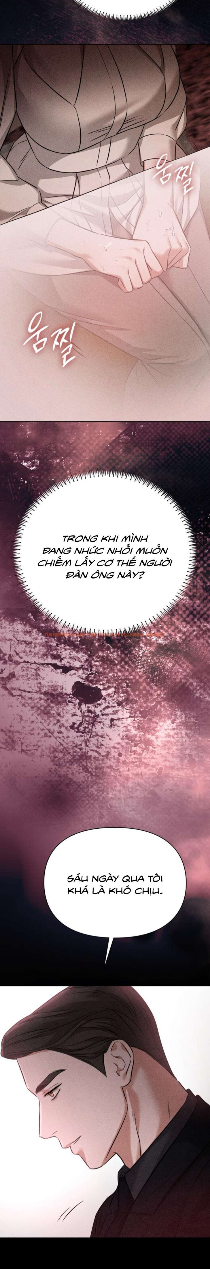 Xem ảnh 3 1 trong truyện hentai [18+] Người Bạn Ban Đêm - Chapter 5 - www.hentaitvn.net