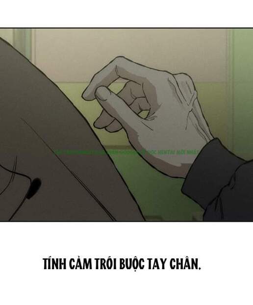 Xem ảnh [18+] Nước Mắt Trên Đóa Hoa Tàn - Chap 18 - 085 - TruyenVN.APP