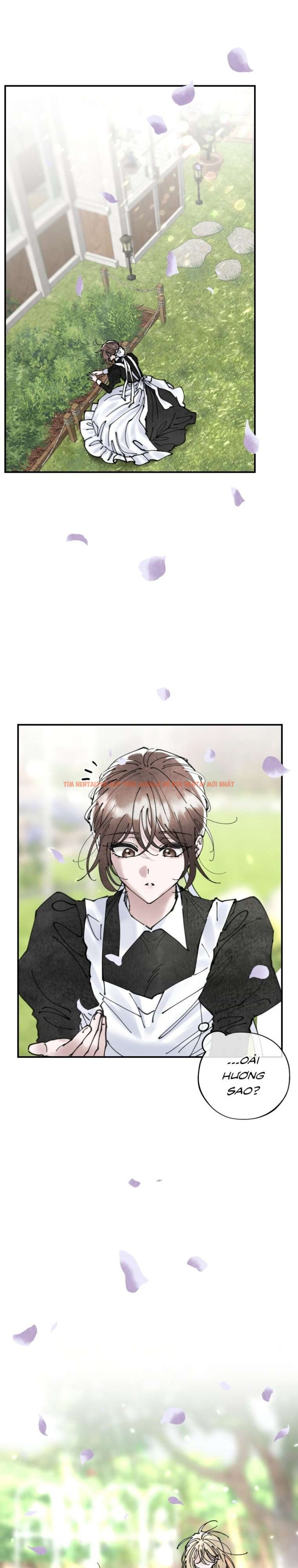 Xem ảnh 2 3 trong truyện hentai [18+] Sự Quyến Rũ Của Hầu Nữ - Chapter 8 - hentaitvn.net