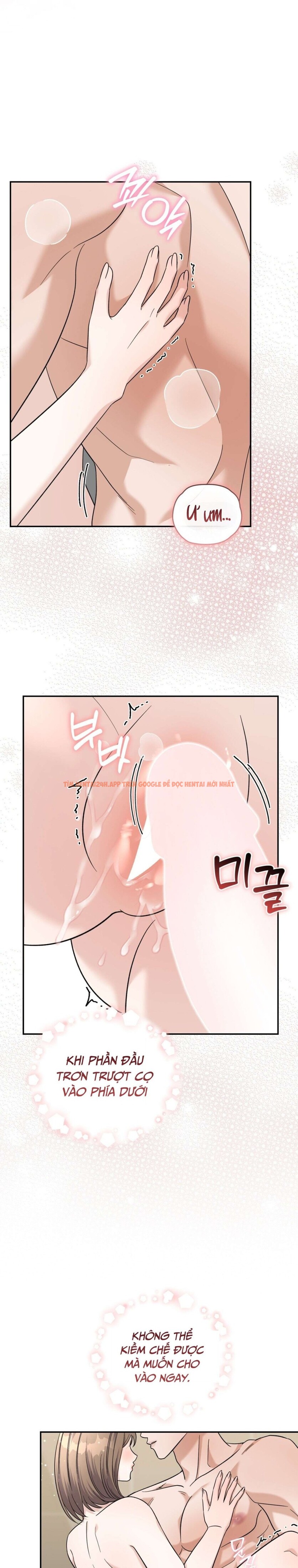 Xem ảnh 2 1 trong truyện hentai [18+] Sự Vắng Bóng Của Tình Yêu Lãng Mạn - Chapter 12 - hentaitvn.net