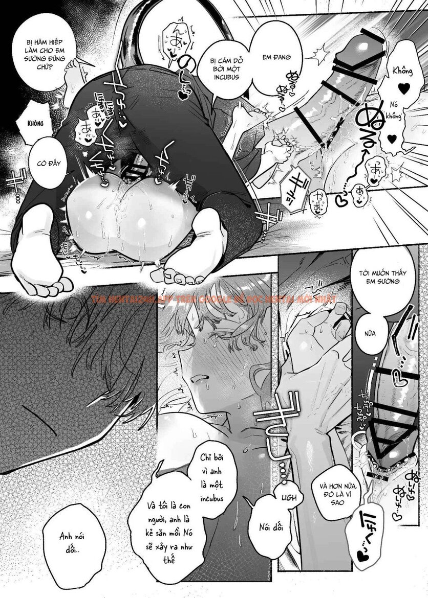 Xem ảnh [18+] Tuyển Tập Manga Khiêu Dâm - Chapter 5 - 11 - Truyenhentaiz.net