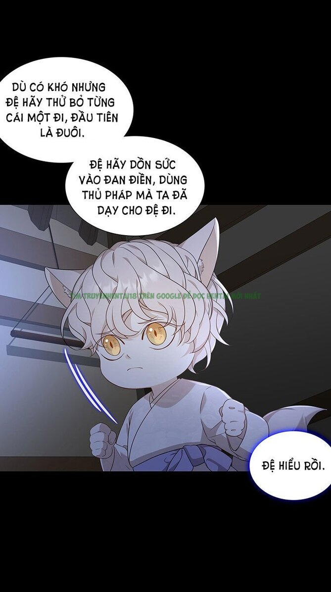 Xem ảnh [18+] Ve Vãn, Mê Hoặc Hồ Ly - Chap 10.1 - 028 - Truyenhentaiz.net