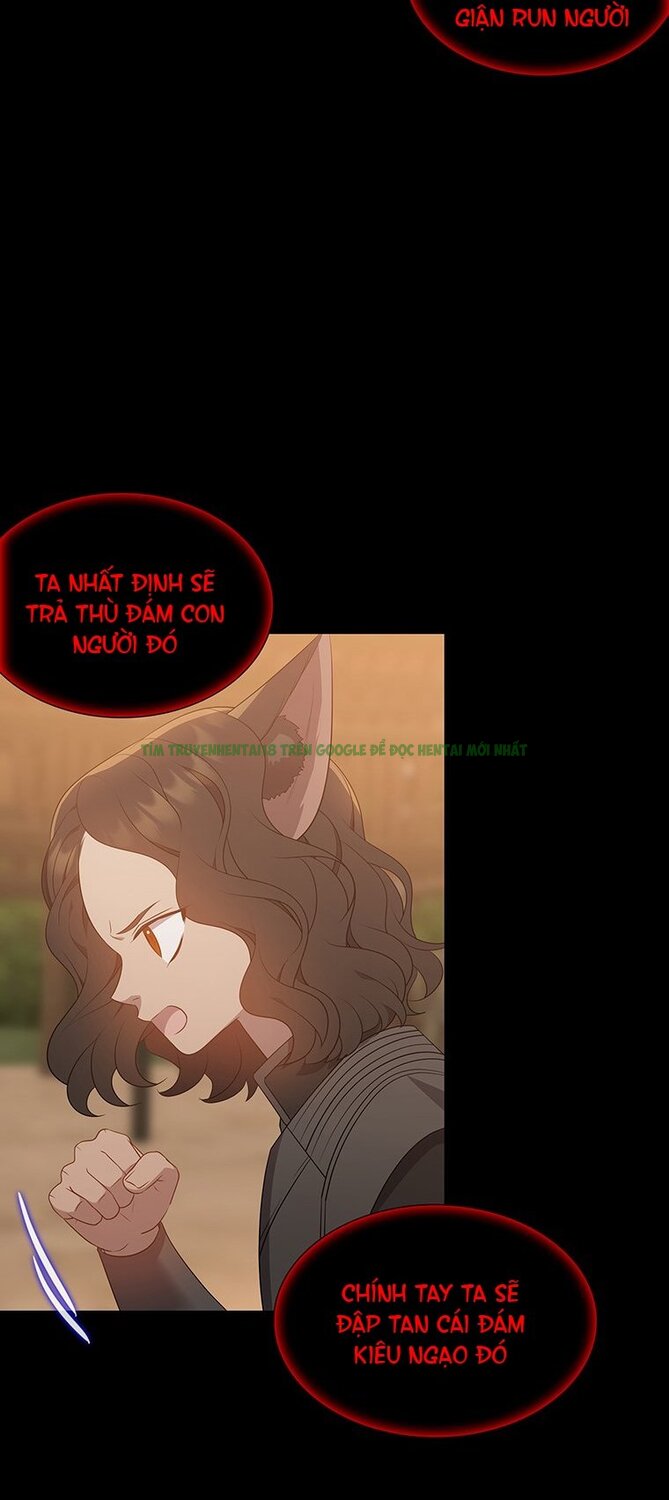 Xem ảnh 022 trong truyện hentai [18+] Ve Vãn, Mê Hoặc Hồ Ly - Chap 44.1 - Truyenhentai18z.net