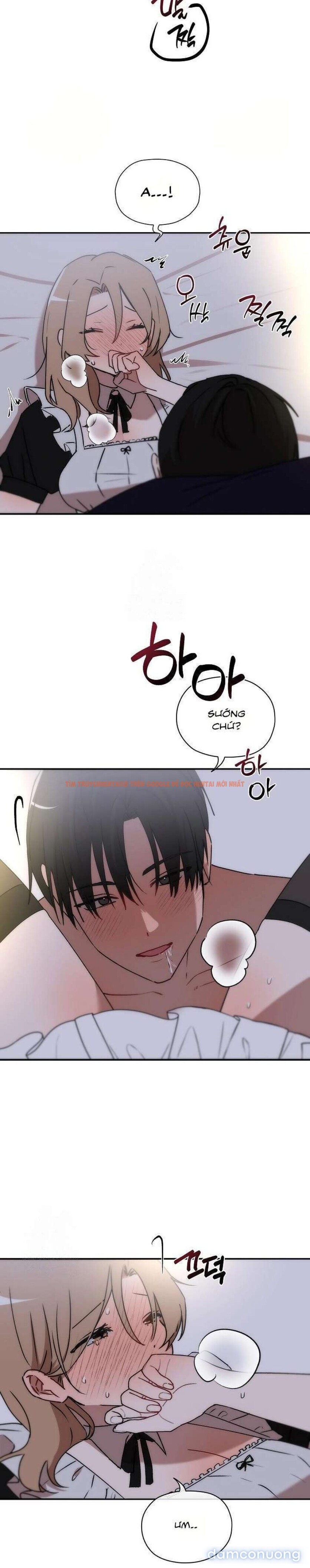 Xem ảnh 4 3 trong truyện hentai [không Che] [18+] Cãi Vã Trên Gối - Chapter 19 - hentaitvn.net