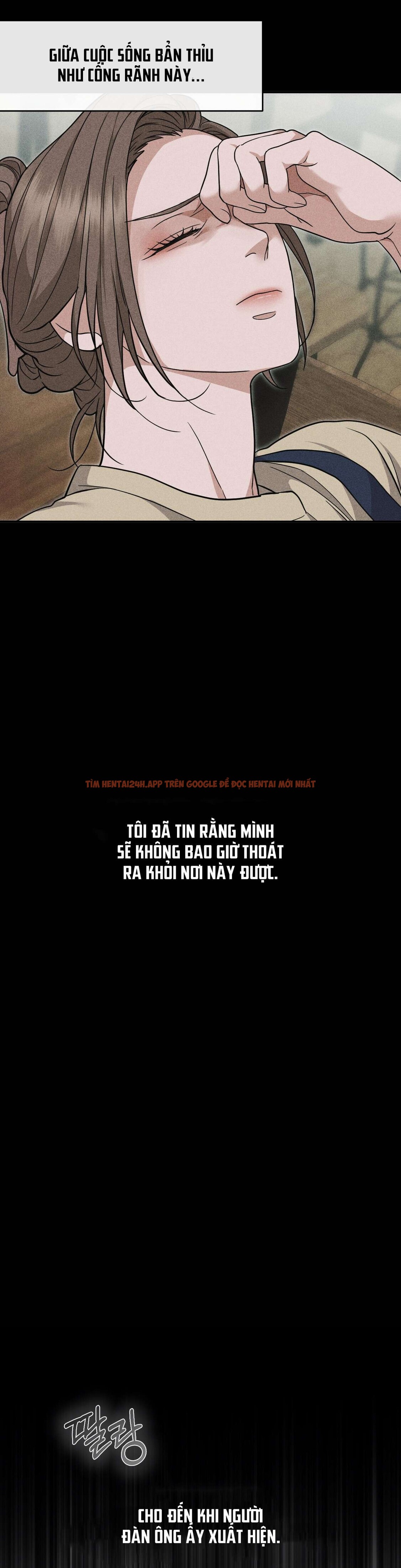 [không Che] [18+] Chuyện Tình Hoa Violet - Chapter 0