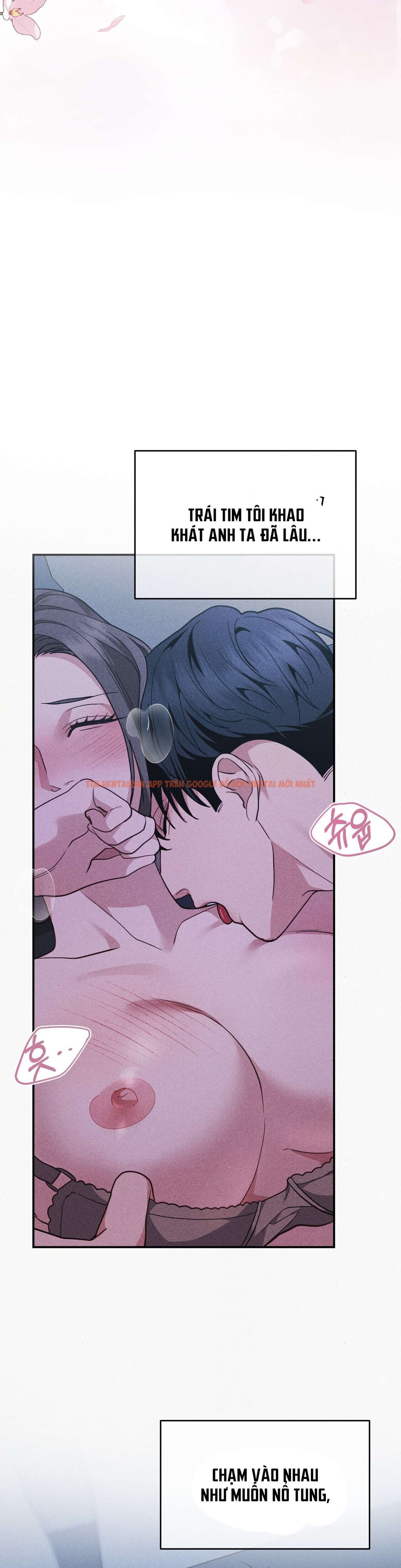 [không Che] [18+] Chuyện Tình Hoa Violet - Chapter 0