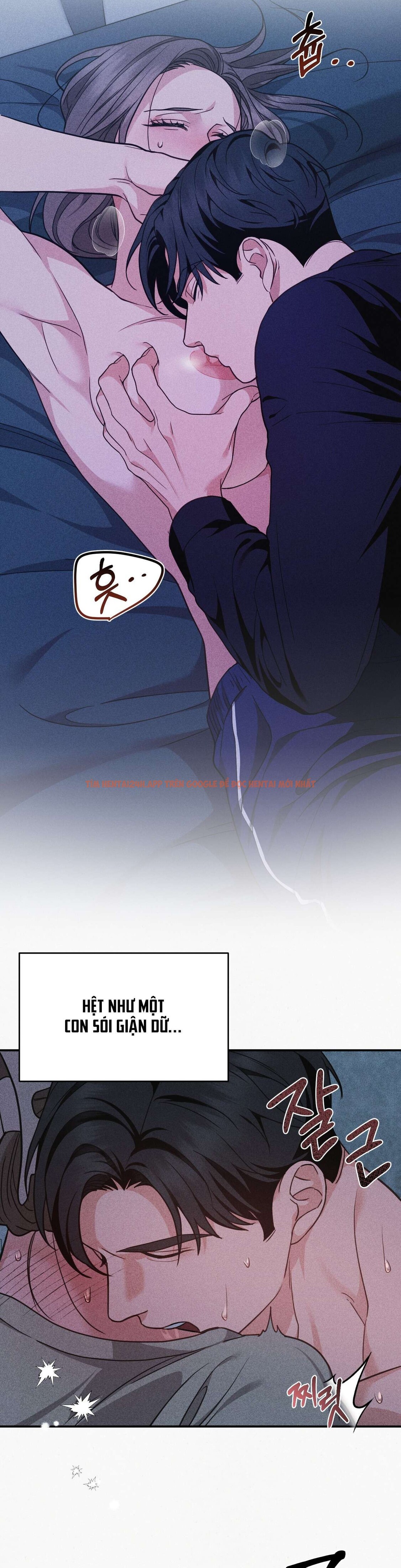 [không Che] [18+] Chuyện Tình Hoa Violet - Chapter 0