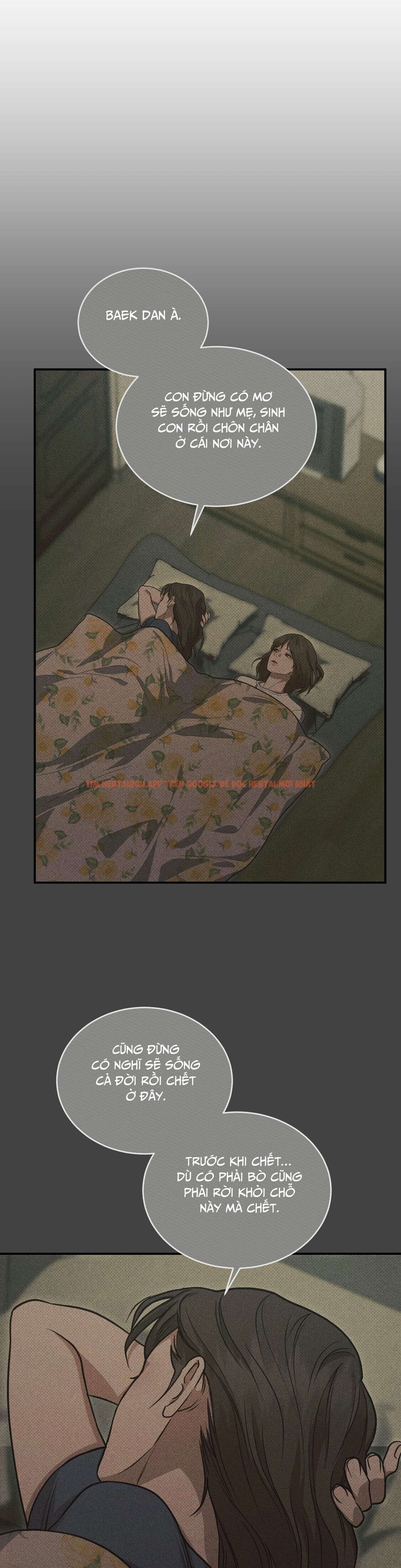 [không Che] [18+] Chuyện Tình Hoa Violet - Chapter 1