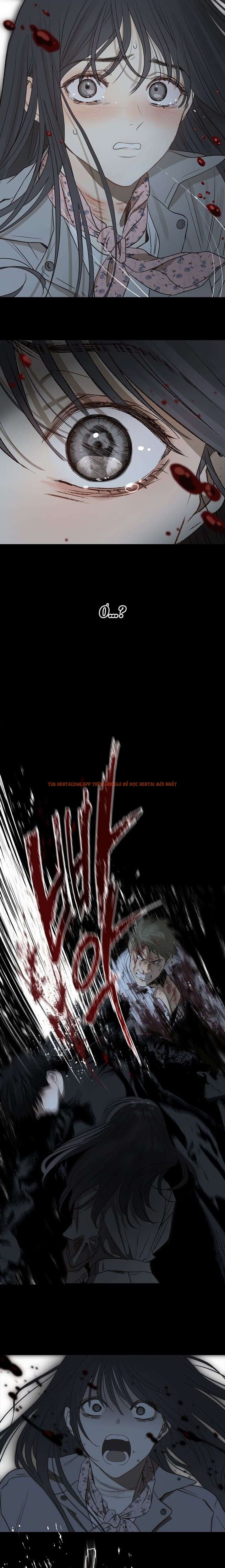 Xem ảnh 6 1 trong truyện hentai [không Che] [18+] Đóa Hoa Là Mồi Nhử - Chapter 1 - hentaitvn.net