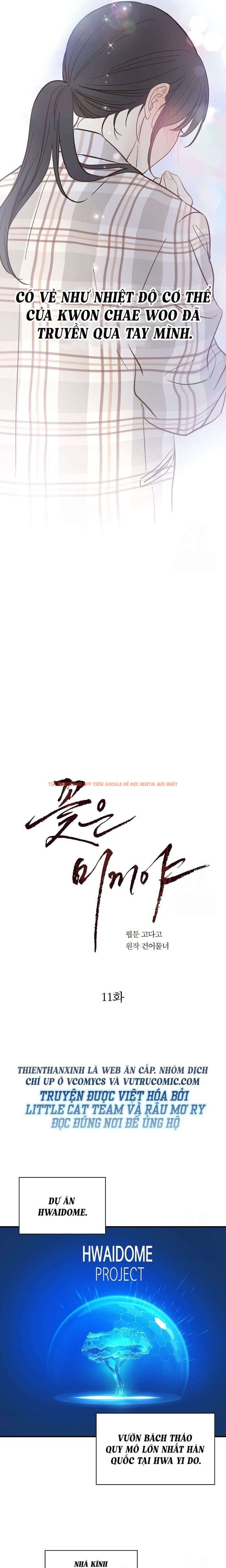 Xem ảnh 4 0 trong truyện hentai [không Che] [18+] Đóa Hoa Là Mồi Nhử - Chapter 11 - hentaitvn.net