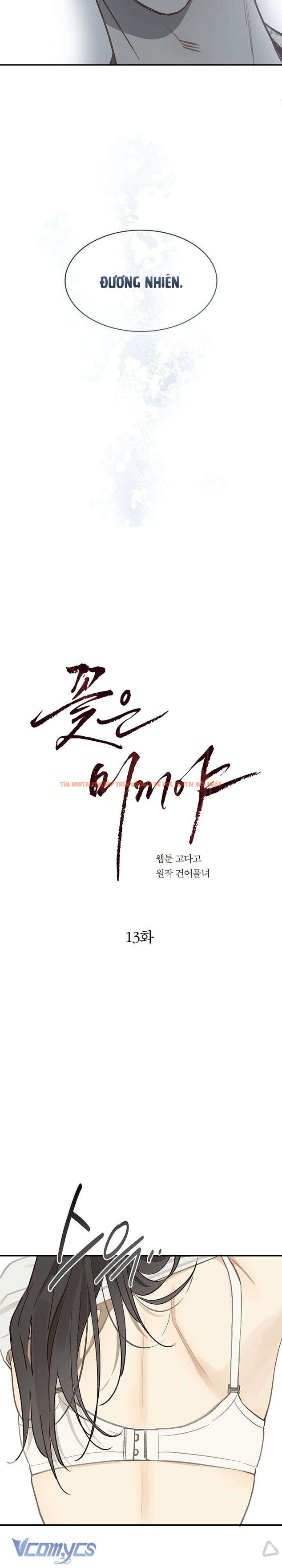 Xem ảnh 2 2 trong truyện hentai [không Che] [18+] Đóa Hoa Là Mồi Nhử - Chapter 13 - hentaitvn.net