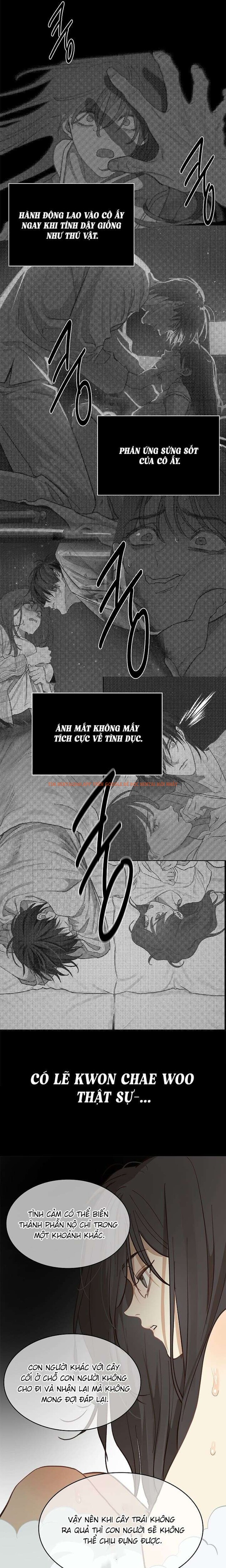 Xem ảnh 7 0 trong truyện hentai [không Che] [18+] Đóa Hoa Là Mồi Nhử - Chapter 13 - hentaitvn.net