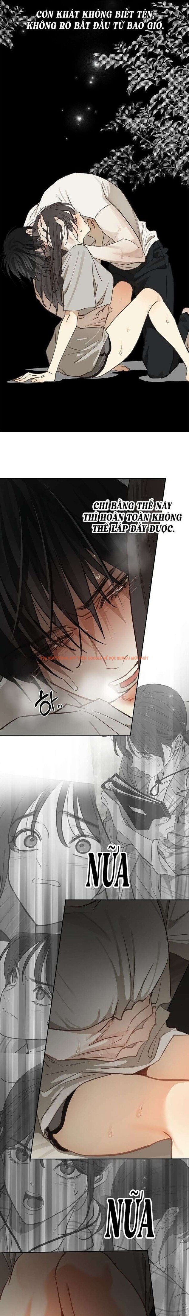 Xem ảnh [không Che] [18+] Đóa Hoa Là Mồi Nhử - Chapter 14 - 6 0 - Truyenhentaiz.net