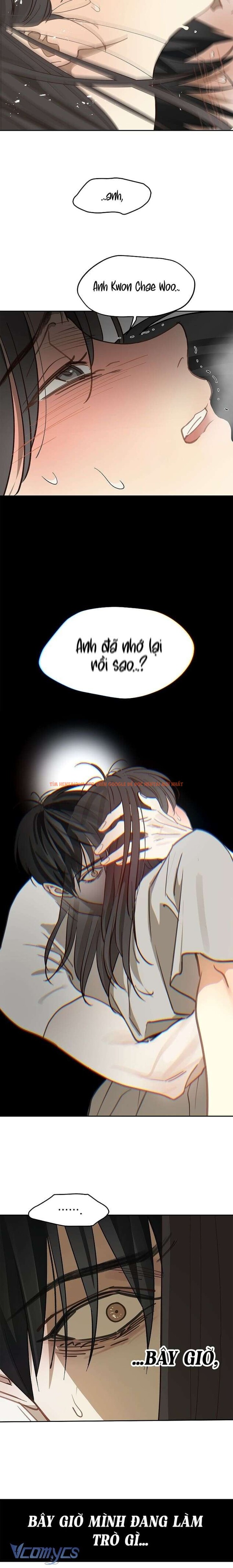 Xem ảnh [không Che] [18+] Đóa Hoa Là Mồi Nhử - Chapter 14 - 6 2 - Truyenhentaiz.net