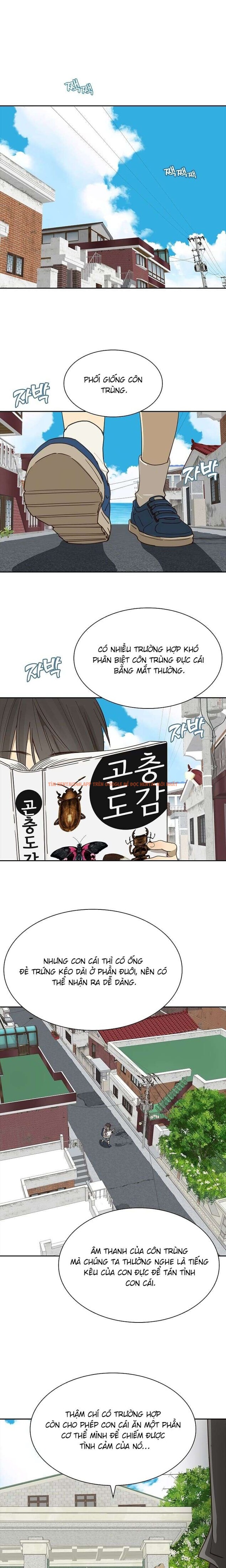 Xem ảnh [không Che] [18+] Đóa Hoa Là Mồi Nhử - Chapter 15 - 2 1 - Truyenhentaiz.net