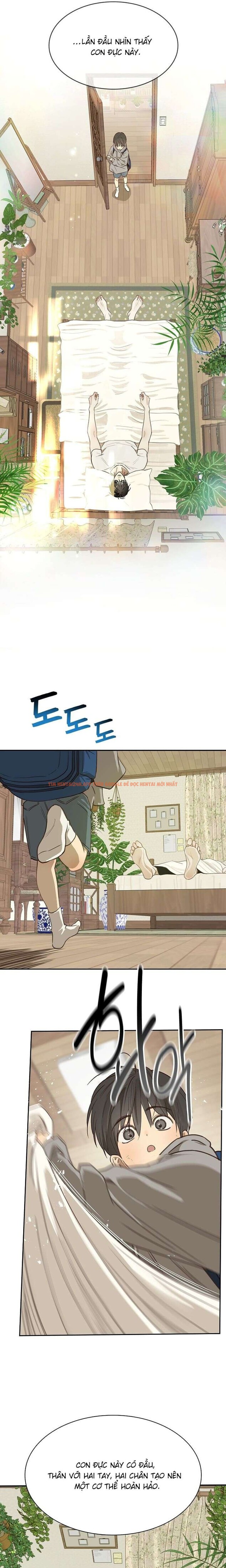 Xem ảnh [không Che] [18+] Đóa Hoa Là Mồi Nhử - Chapter 15 - 4 0 - Truyenhentaiz.net