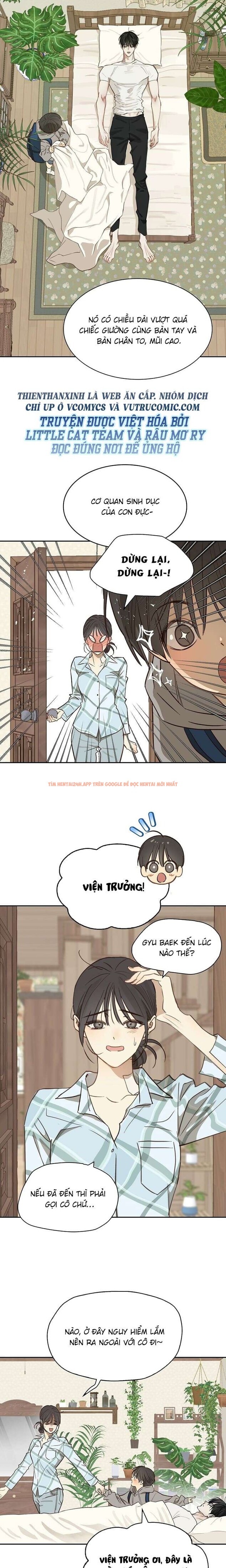 Xem ảnh [không Che] [18+] Đóa Hoa Là Mồi Nhử - Chapter 15 - 4 1 - Truyenhentaiz.net