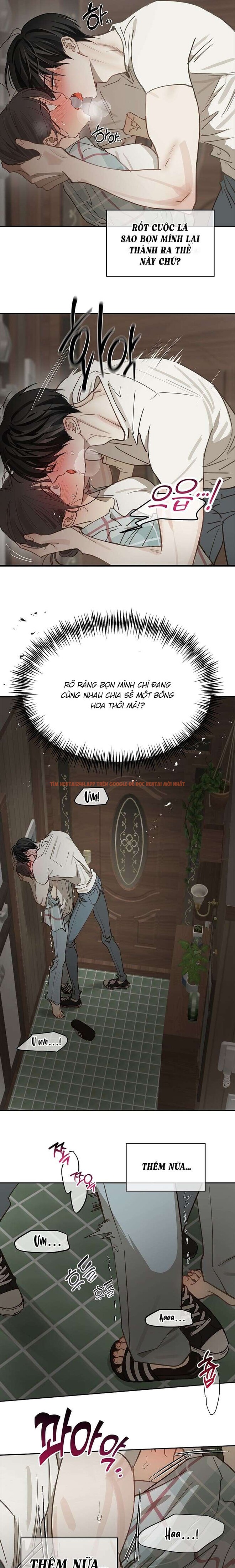 Xem ảnh [không Che] [18+] Đóa Hoa Là Mồi Nhử - Chapter 19 - 4 0 - Truyenhentaiz.net