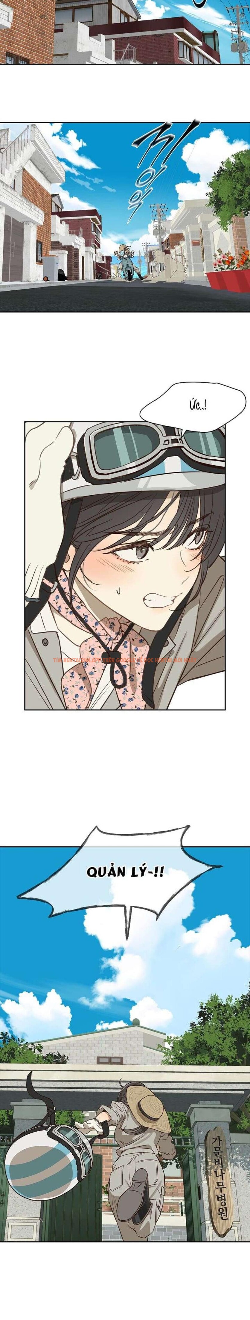 Xem ảnh 1 0 trong truyện hentai [không Che] [18+] Đóa Hoa Là Mồi Nhử - Chapter 2 - hentaitvn.net