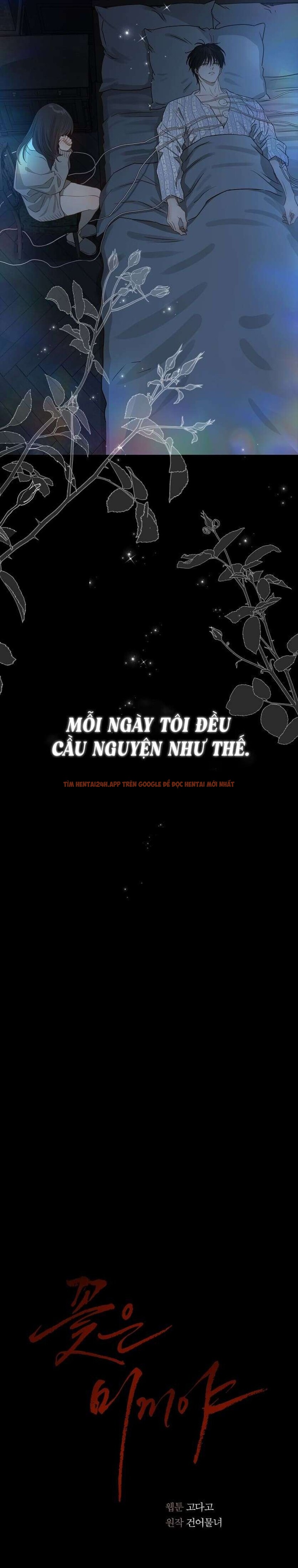 Xem ảnh 8 0 trong truyện hentai [không Che] [18+] Đóa Hoa Là Mồi Nhử - Chapter 2 - hentaitvn.net