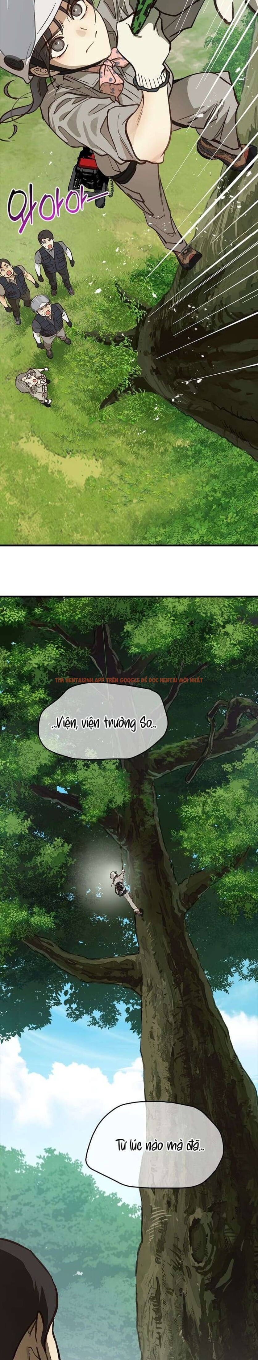 Xem ảnh [không Che] [18+] Đóa Hoa Là Mồi Nhử - Chapter 21 - 6 1 - Truyenhentaiz.net