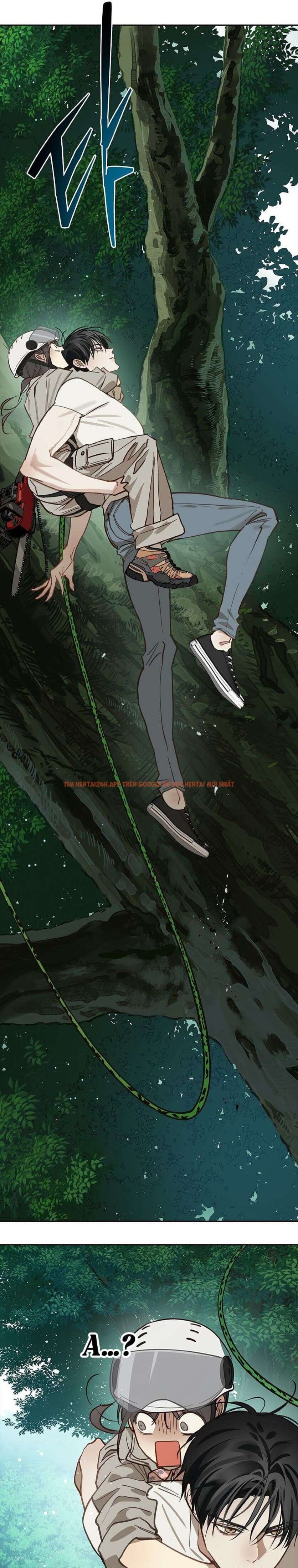 Xem ảnh [không Che] [18+] Đóa Hoa Là Mồi Nhử - Chapter 22 - 4 0 - Truyenhentaiz.net