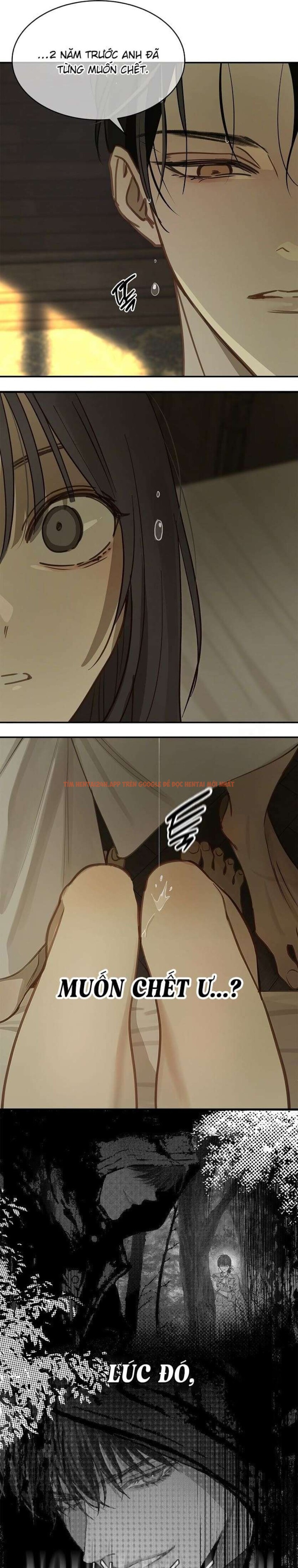 Xem ảnh [không Che] [18+] Đóa Hoa Là Mồi Nhử - Chapter 24 - 2 0 - Truyenhentaiz.net