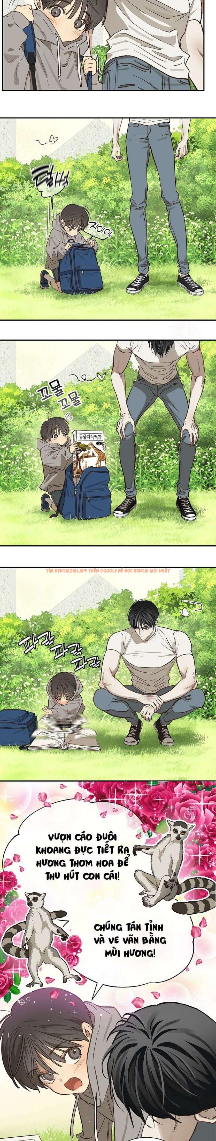 Xem ảnh [không Che] [18+] Đóa Hoa Là Mồi Nhử - Chapter 25 - 1 2 - Truyenhentaiz.net