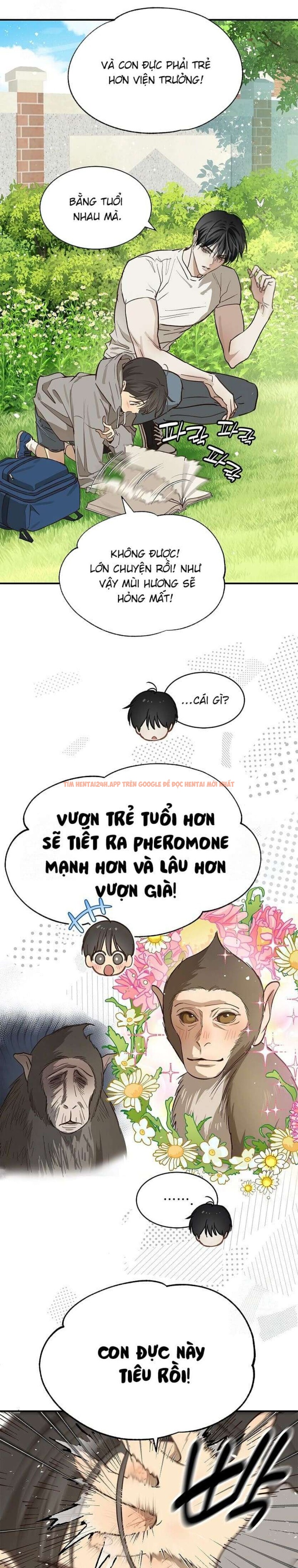 Xem ảnh [không Che] [18+] Đóa Hoa Là Mồi Nhử - Chapter 25 - 2 0 - Truyenhentaiz.net