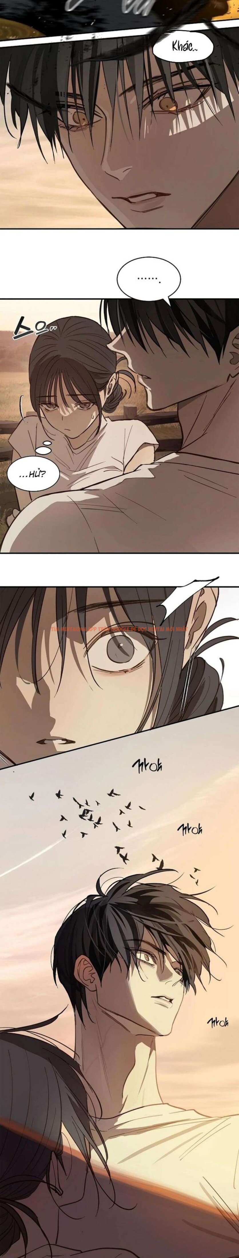 Xem ảnh [không Che] [18+] Đóa Hoa Là Mồi Nhử - Chapter 26 - 6 0 - Truyenhentaiz.net