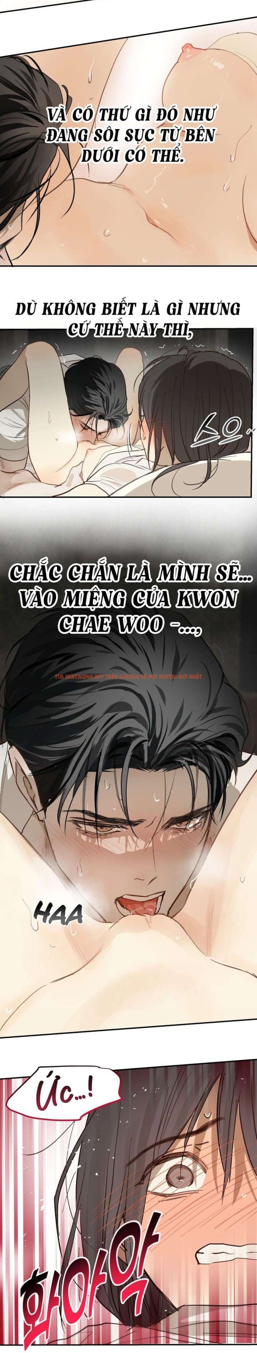 Xem ảnh [không Che] [18+] Đóa Hoa Là Mồi Nhử - Chapter 31 - 3 1 - Truyenhentaiz.net