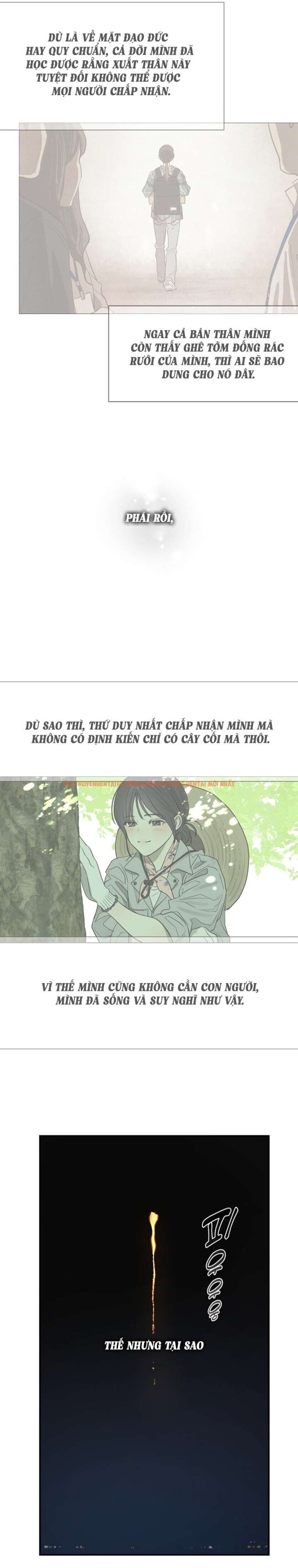 Trang truyện 3 0 trong truyện tranh [không Che] [18+] Đóa Hoa Là Mồi Nhử - Chapter 36 - zhentaivn.pro